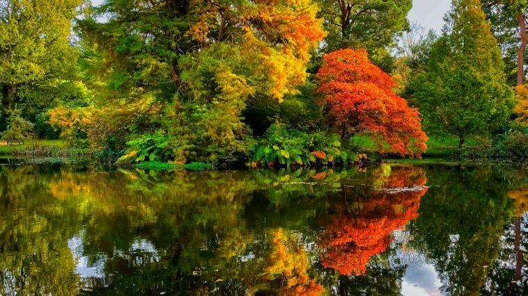 Southampton is such a dog friendly place it makes sense that it is hosting Dogstival this year!