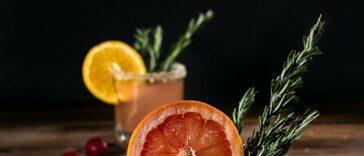 This collection of dog friendly cocktail bars is the perfect way to spend time with your pooch!