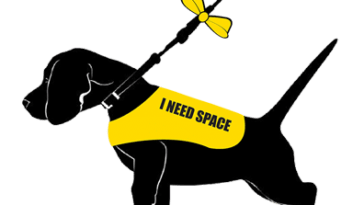 Yellow Dog UK is a fantastic charity raising awareness about dogs that struggle to socialise.