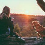 You can never have too many photos of your pooch. To take great pictures of your dog you need to follow our list of tips and tricks