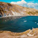 Dorset is a fantastic dog friendly destination