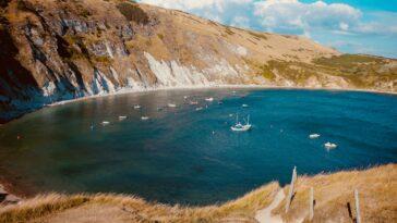 Dorset is a fantastic dog friendly destination