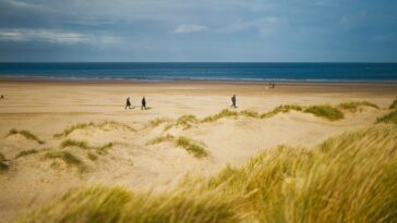 Dog friendly Norfolk is a fantastic place to getaway with your pooch.