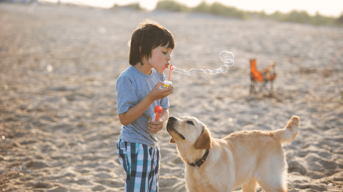 30-dog-friendly-family-days-out-in-cornwall