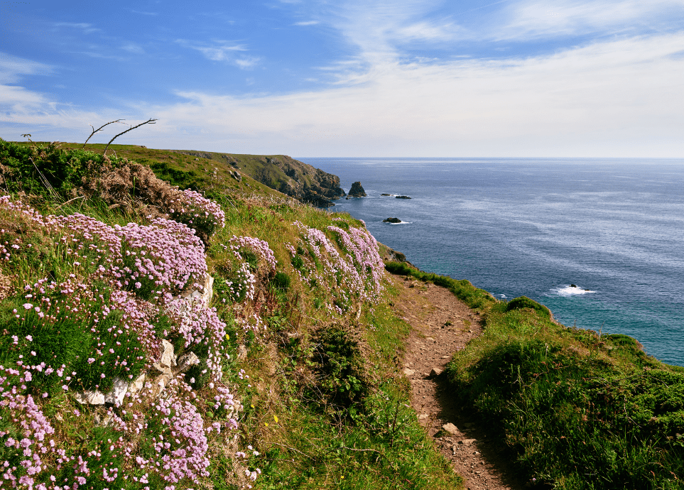 The South West Coast Path Dog Walk