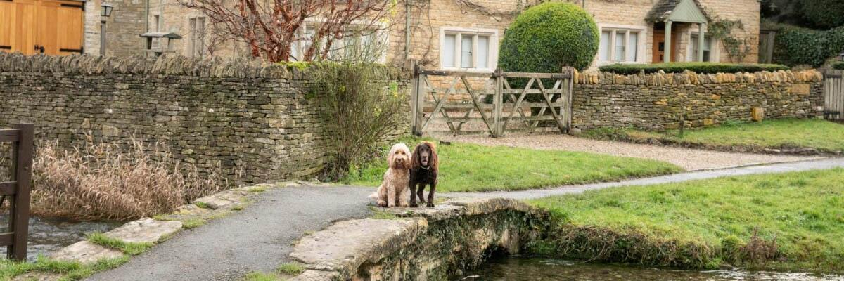 slaughters the Cotswold spaniels dog friendly Cotswolds attractions 
