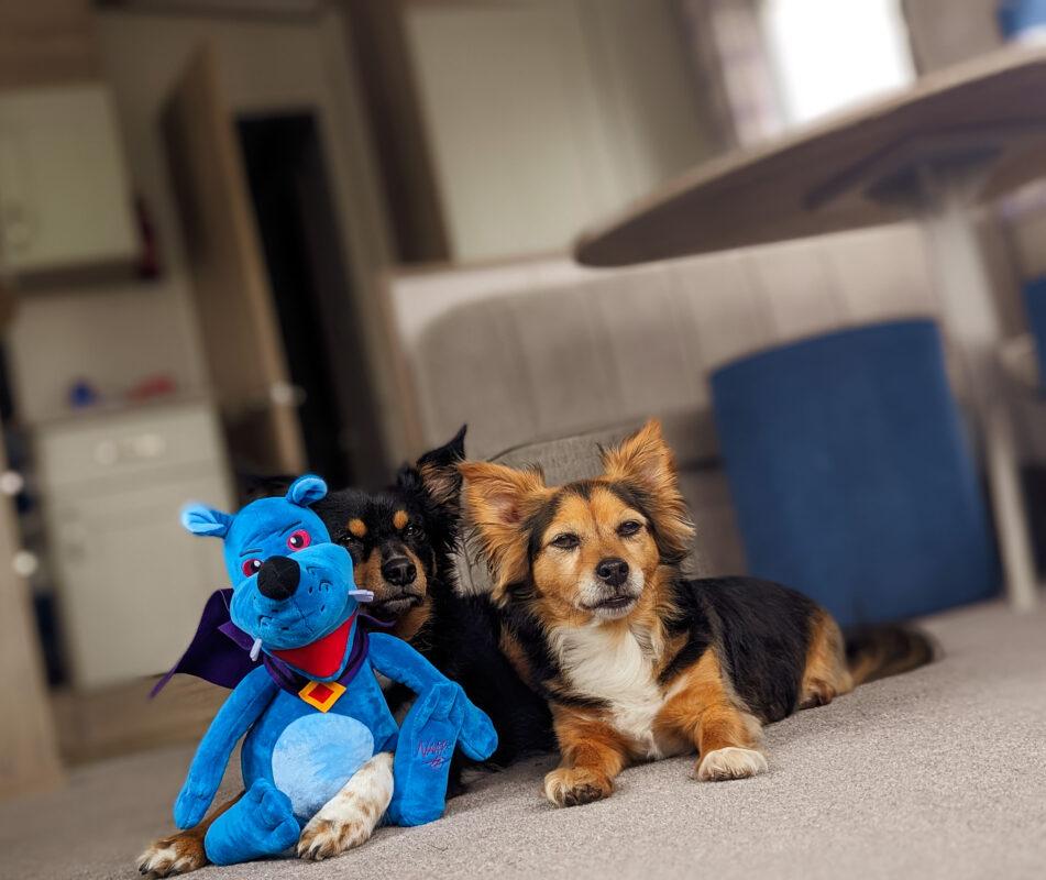 We Fell Head Over Paws for Trecco Bay Dog Friendly Parkdean Paradise