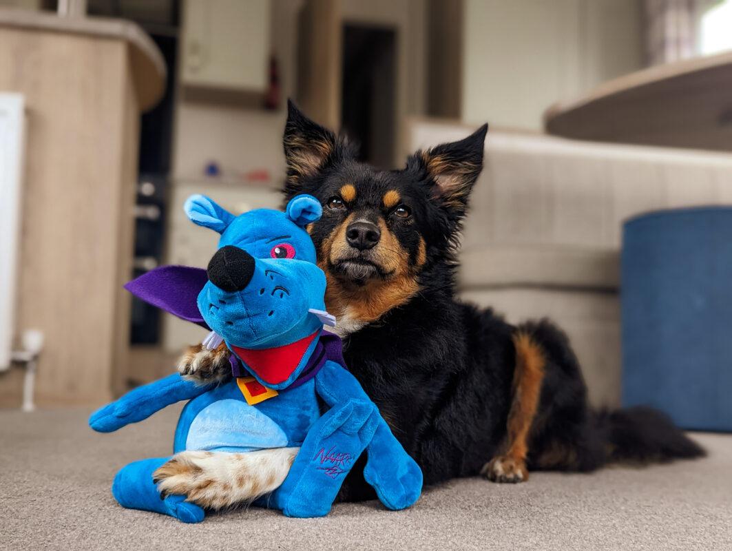 Is Trecco Bay The Most Dog Friendly Holiday Park In The UK?