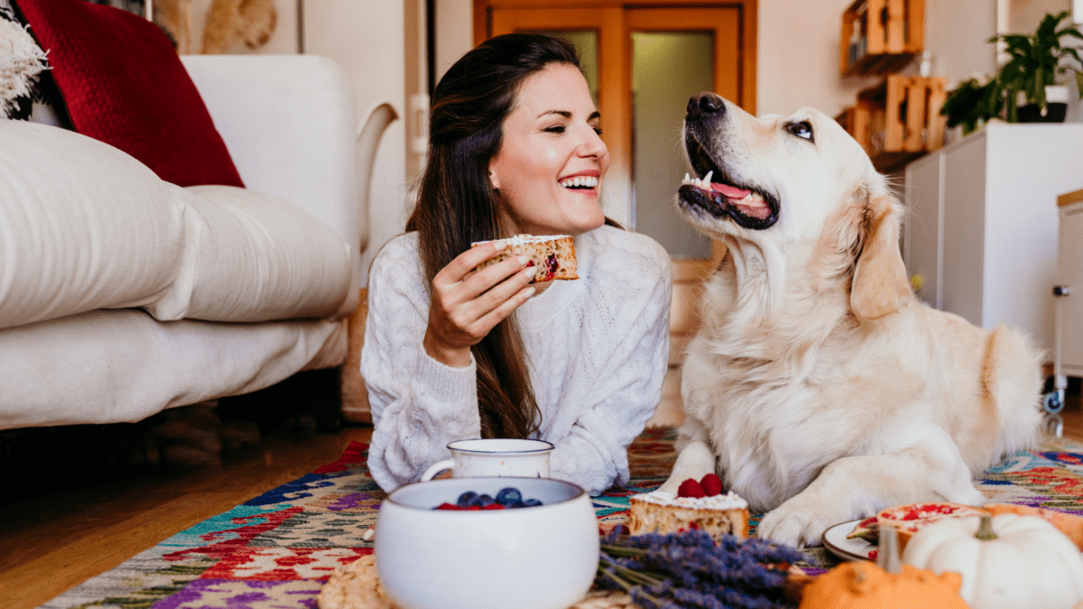 The Best Dog Friendly Bed and Breakfasts in Keswick Houndy