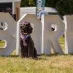 Dogstival
